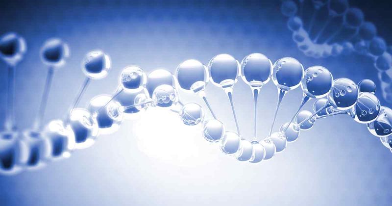 Bardet-Biedl syndrome 16