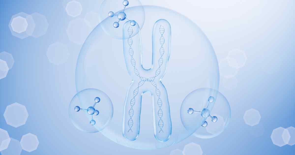 Diabetes mellitus, type 1, susceptibility to