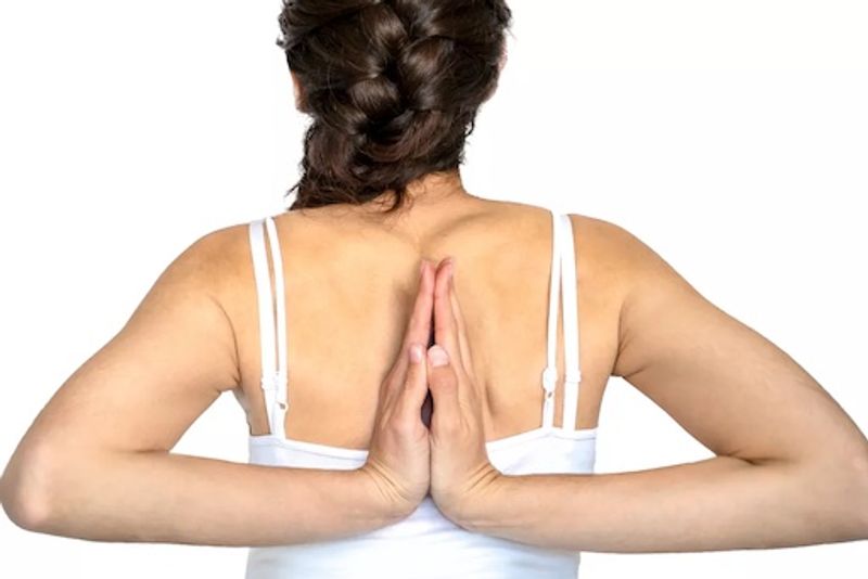 Ehlers-Danlos Syndrome DNA Test Guide