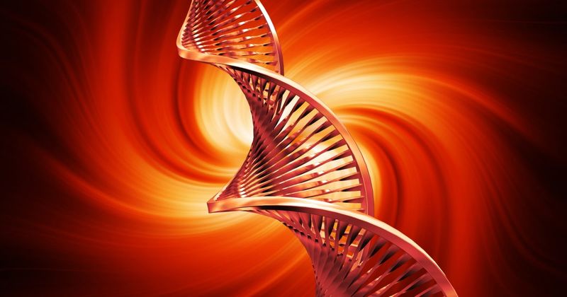 Hereditary spastic paraplegia