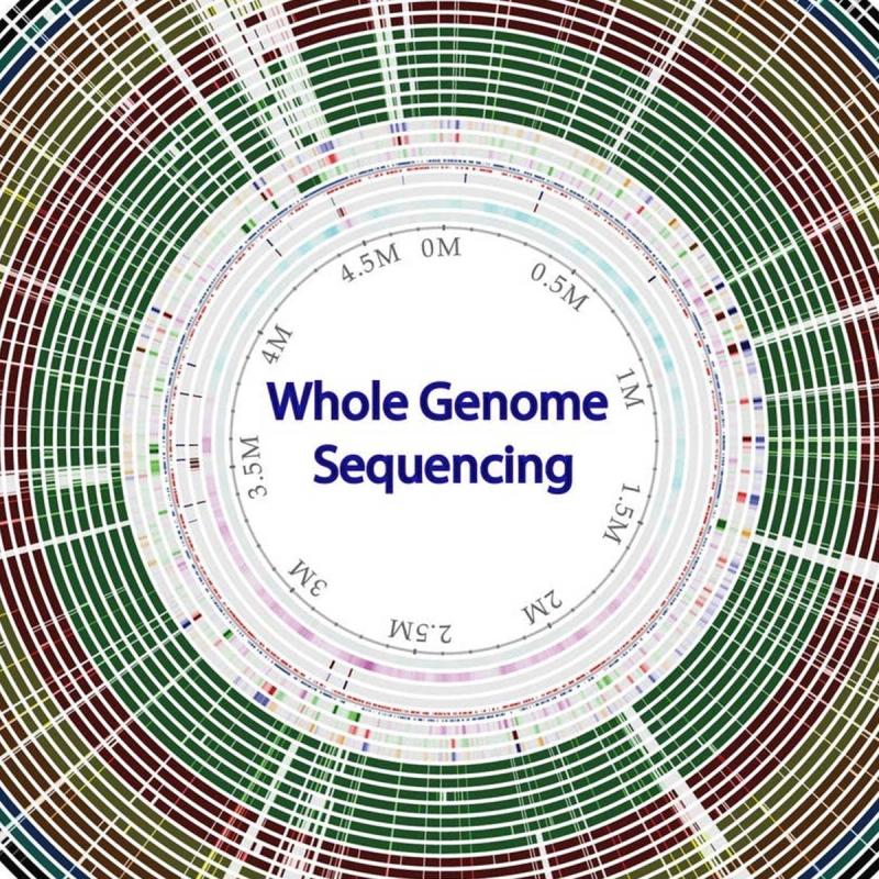 How To Use Whole Genome Sequencing Data Files