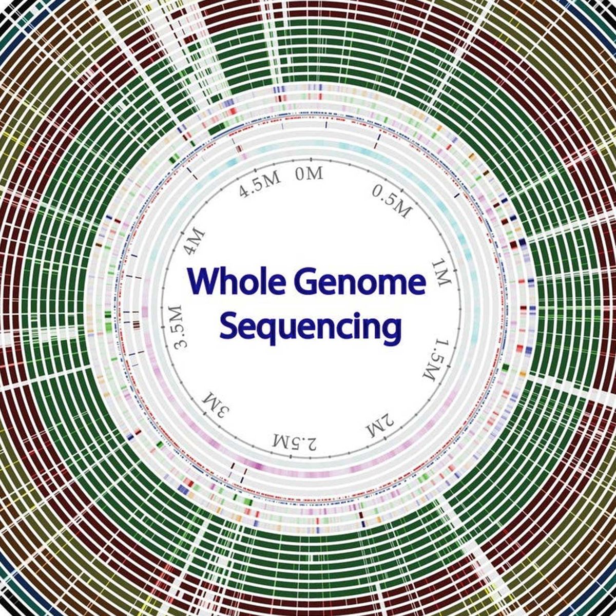 How To Use Whole Genome Sequencing Data Files