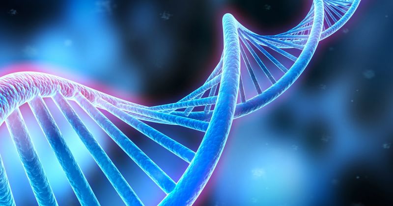 Acute leukemia of ambiguous lineage