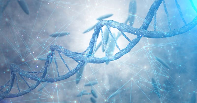 Alpha-N-acetylgalactosaminidase deficiency type 3