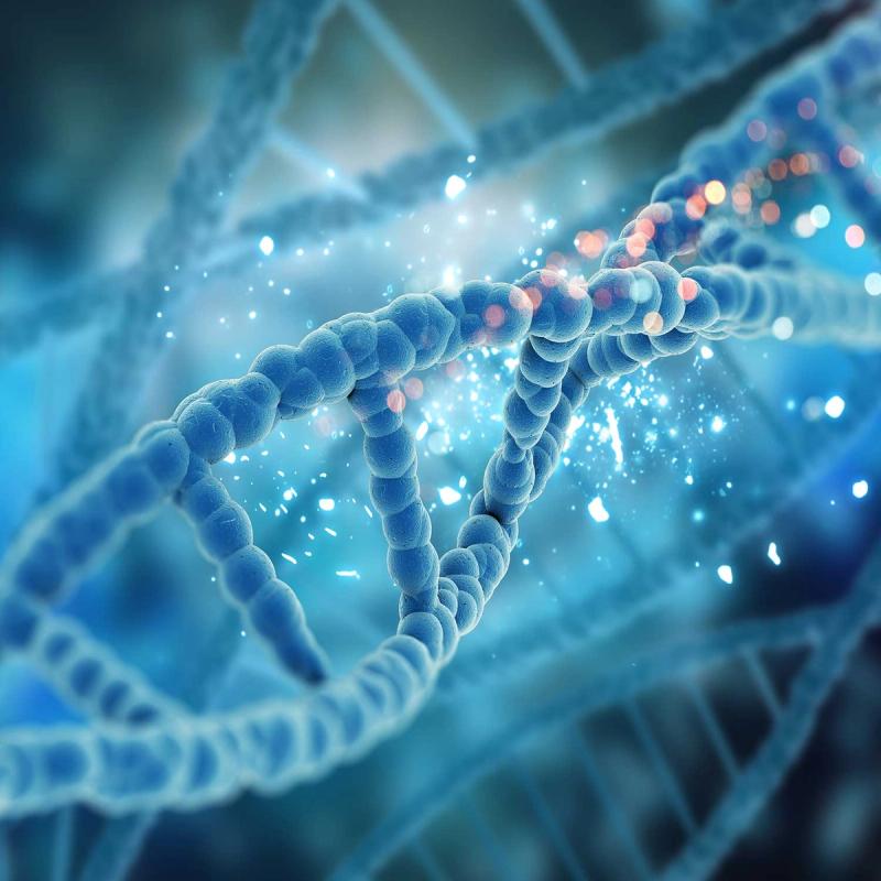 AncestryDNA Raw Data