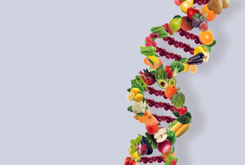 DNA Diets