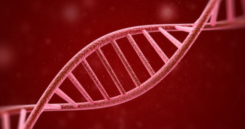 Coronary artery spasm 1, susceptibility to