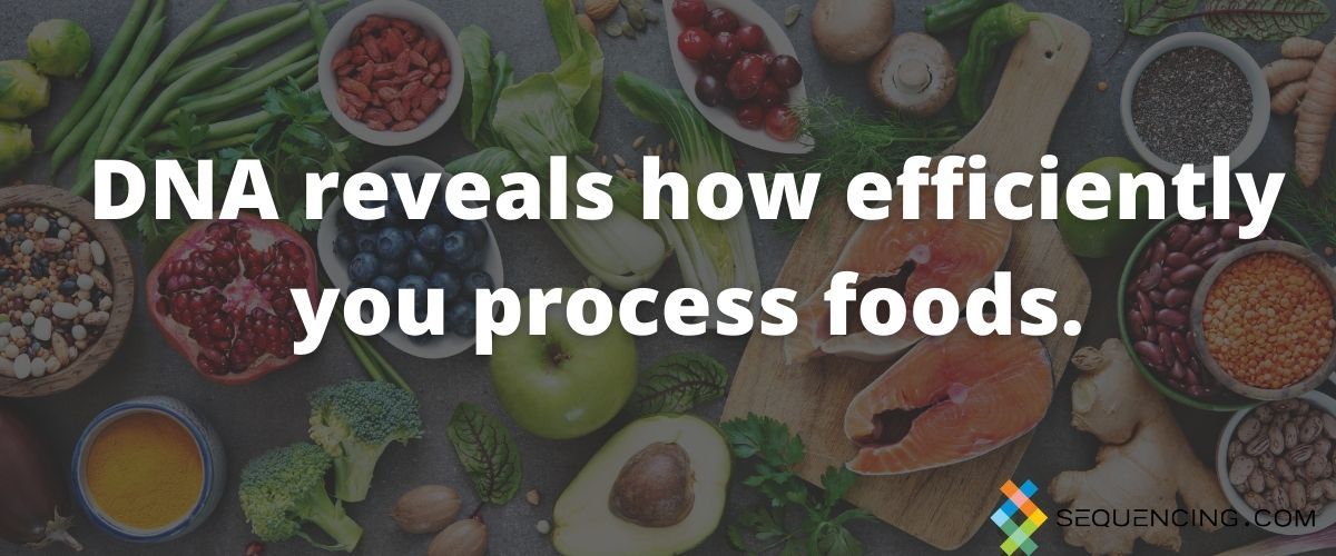 dna testing weight loss diets