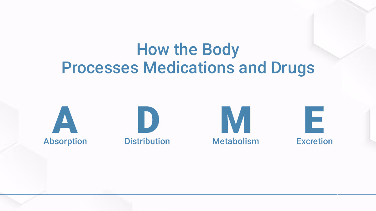 the_effects_of_medicine_on_the_body