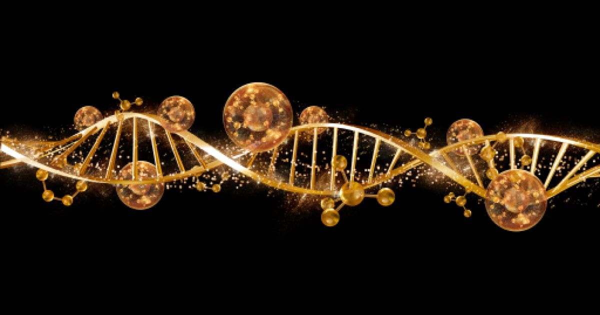 Agammaglobulinemia 2, autosomal recessive
