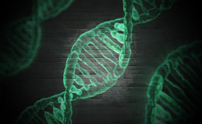 Detox Genes: What Are They and Are They Even Real?