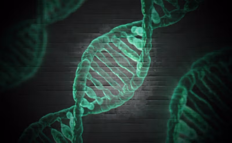 Detox Genes: What Are They and Are They Even Real?