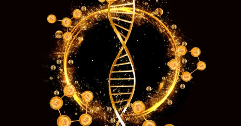 Sodium serum level quantitative trait locus 1