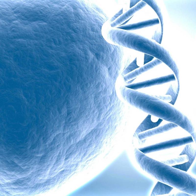 Gene-Driven Plan for Health