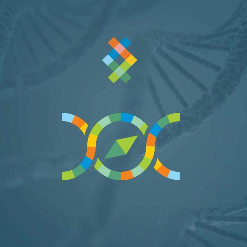 DNA App Spotlight: What Is The Genome Explorer?