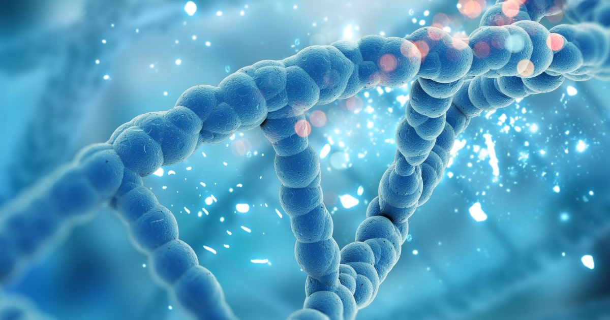 Aspergillosis, susceptibility to