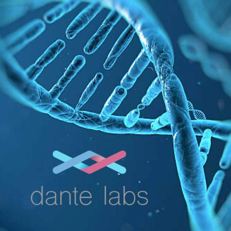 Dante Labs Review