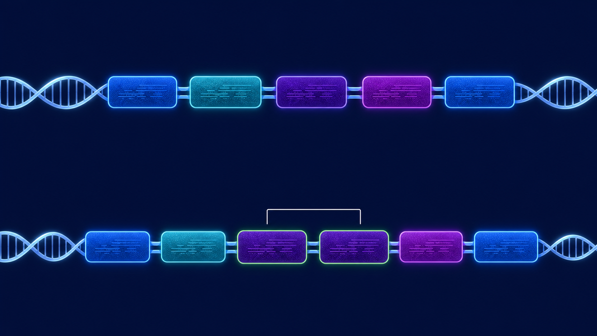 What Are Copy-Number Changes in DNA?