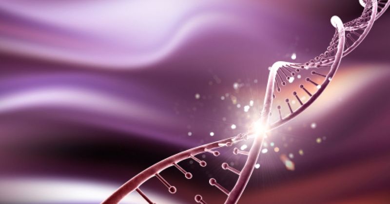 RLBP1-Related Disorders
