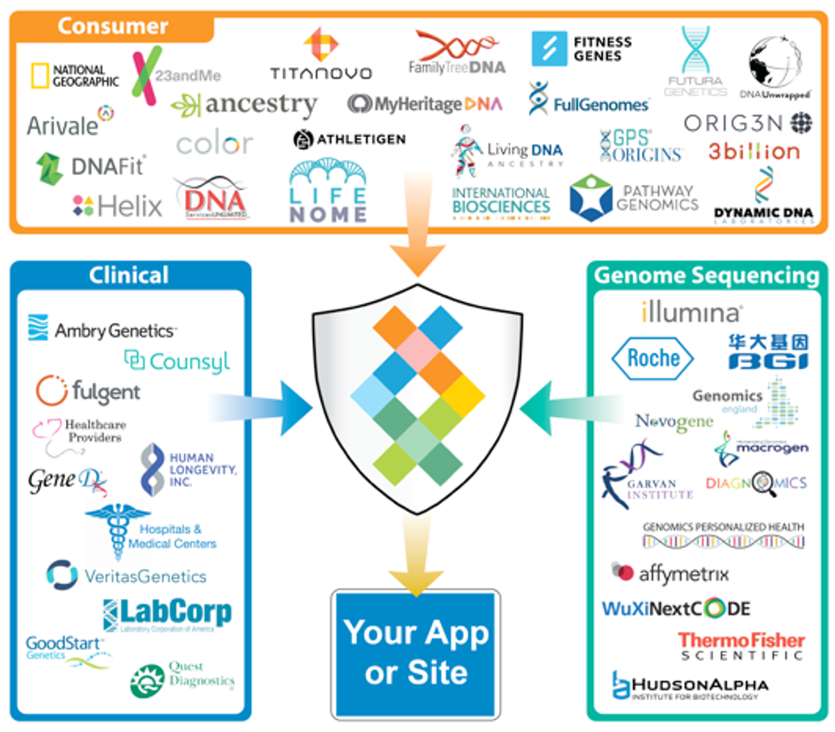 DNA Marketplace API for adding, marketing and selling DNA apps in Sequencing.com's DNA App Store. The API securely sends raw genetic data to sites and apps. The API provides universal data compatibility for all DNA formats including Ancestry, Helix, 23andMe, Genes for Good, Family Tree DNA, LivingDNA, Vitagene, HomeDNA, DNAland and exome and whole genome sequencing WGS.