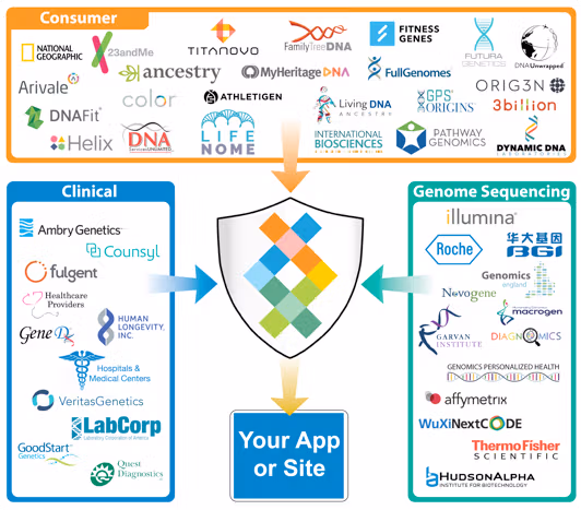 DNA Marketplace API for adding, marketing and selling DNA apps in Sequencing.com's DNA App Store. The API securely sends raw genetic data to sites and apps. The API provides universal data compatibility for all DNA formats including Ancestry, Helix, 23andMe, Genes for Good, Family Tree DNA, LivingDNA, Vitagene, HomeDNA, DNAland and exome and whole genome sequencing WGS.