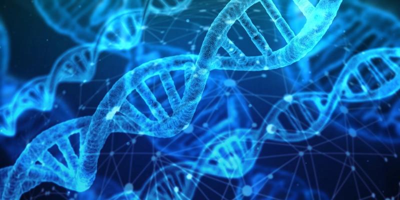 What is Ancestral Lineage Healing?