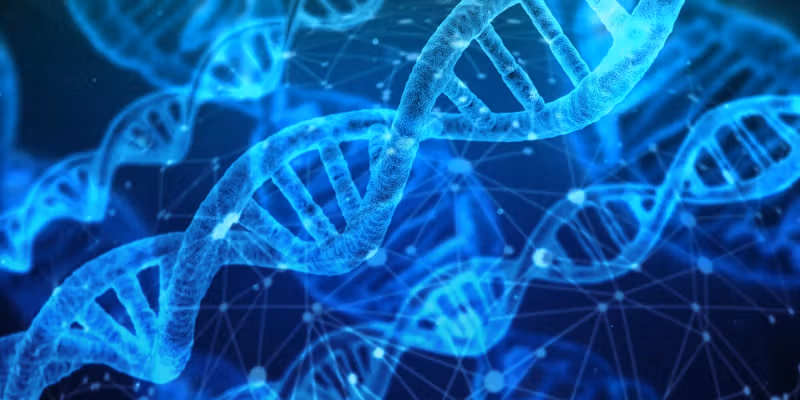 What is Ancestral Lineage Healing?