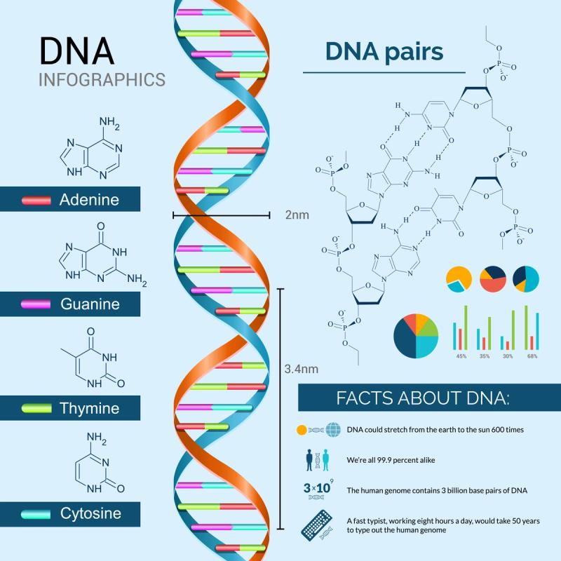 genetic genealogy