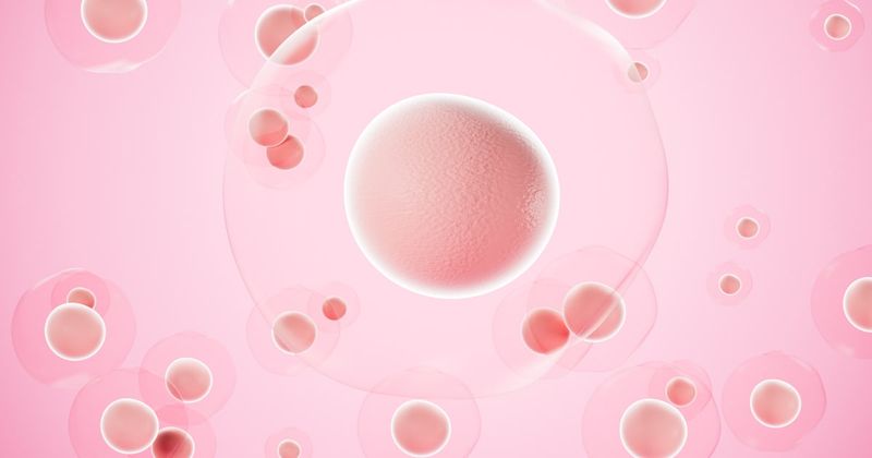 Maturity onset diabetes mellitus in young