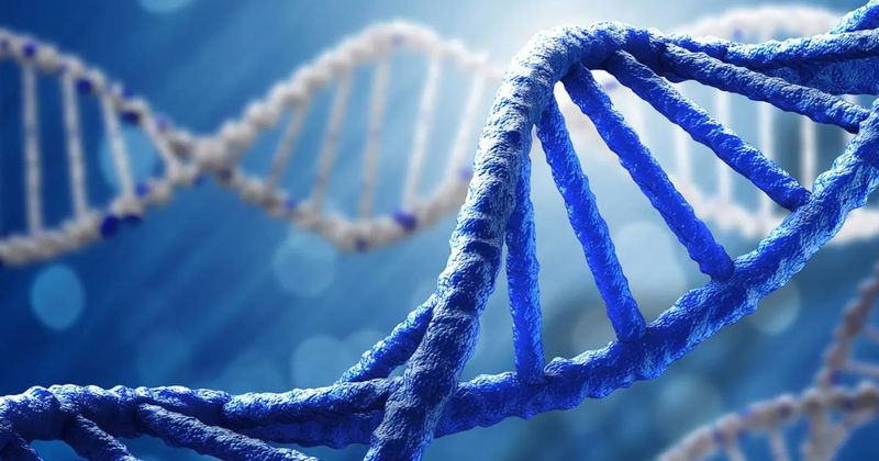 Androgen resistance syndrome