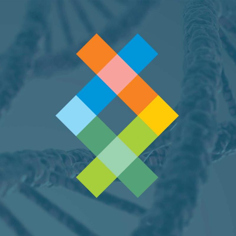 SelfDecode DNA Analysis Reports