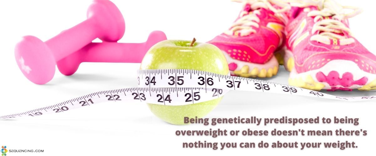 weight loss dna testing