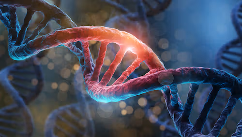 genetic testing alzheimers