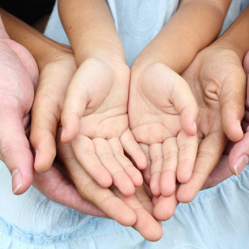 Genetic genealogy report with haplogroups