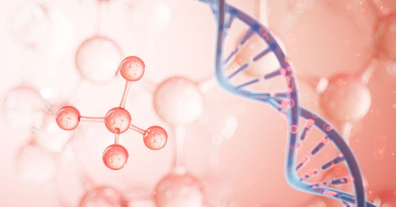 Nonsmall cell lung cancer, response to tyrosine kinase inhibitor in, somatic